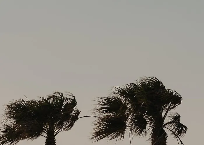 Hibiscus Naxos 公寓